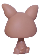#0461 Chihuahua